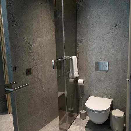 Notre Dame Renovated 2025 * Nice